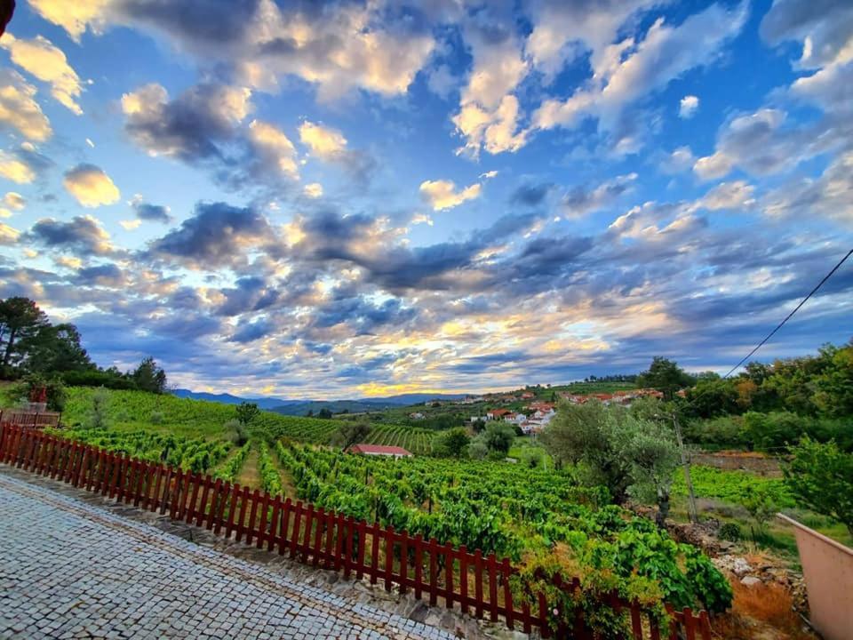 Отель Casa Do Poco - Douro Пезу-да-Регуа Экстерьер фото