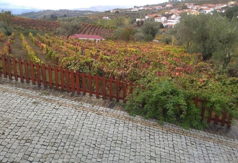 Отель Casa Do Poco - Douro Пезу-да-Регуа Экстерьер фото